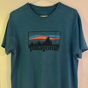 Patagonia Men's Teal Graphic Tee